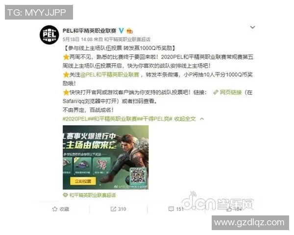 李娜独家分享和平精英游戏技巧与心得体会助你提升战斗水平