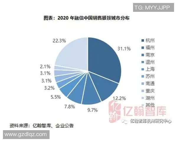 杭州足球队实力对比深度解析与未来发展趋势展望